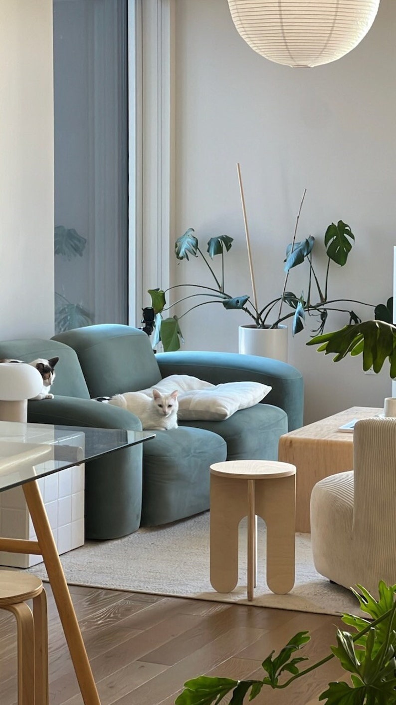 Op de afbeelding: Twee witte katten ontspannen op een tealblauwe bank met een wit kussen. Een houten kruk met afgeronde poten staat voor de bank. Een grote plant in een pot met groene bladeren staat op de achtergrond.