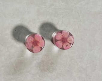 Pressed flowers plugs