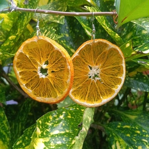 Real orange earrings