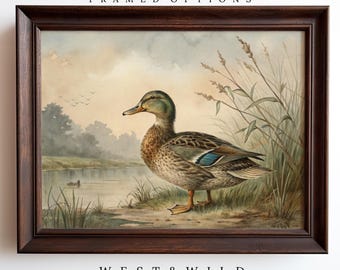 Duck Art Print, Mallard Duck Painting Prints, Vintage Style Waterfowl Art, Artwork Of Ducks, Gift For Duck Lover