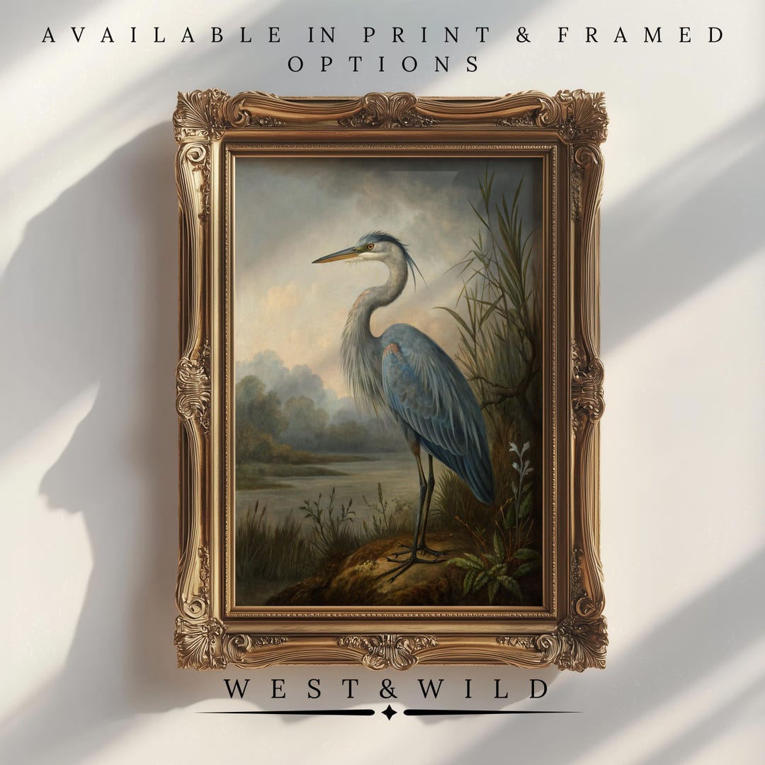 Vintage Bird Paintings, Blue Heron Wall Art Prints, Prints of Birds ...
