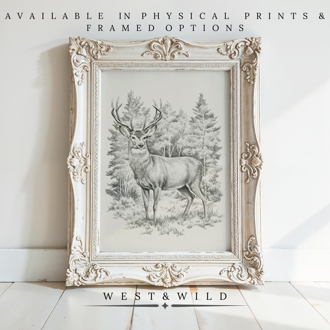 Vintage Deer Illustration Print - Woodland Stag Art - Forest Animal ...