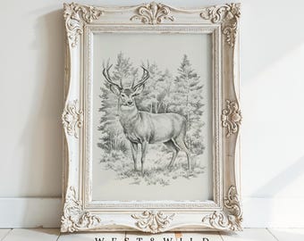 Vintage Deer Illustration Print - Woodland Stag Art - Forest Animal Wall Art - Nature Drawing Artwork - Lodge Decor