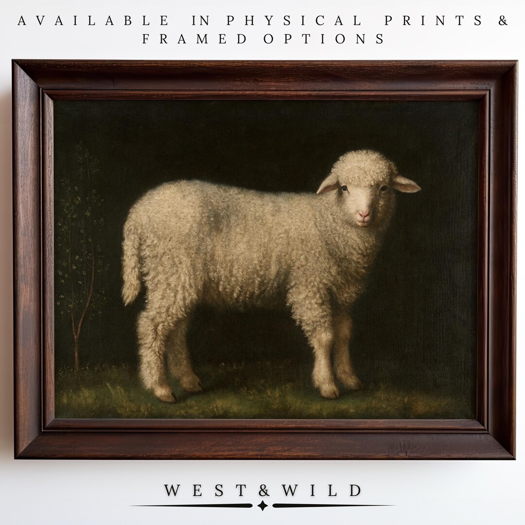 Sheep Wall Art Print of Vintage Farm Animal With Woolly Fleece and ...
