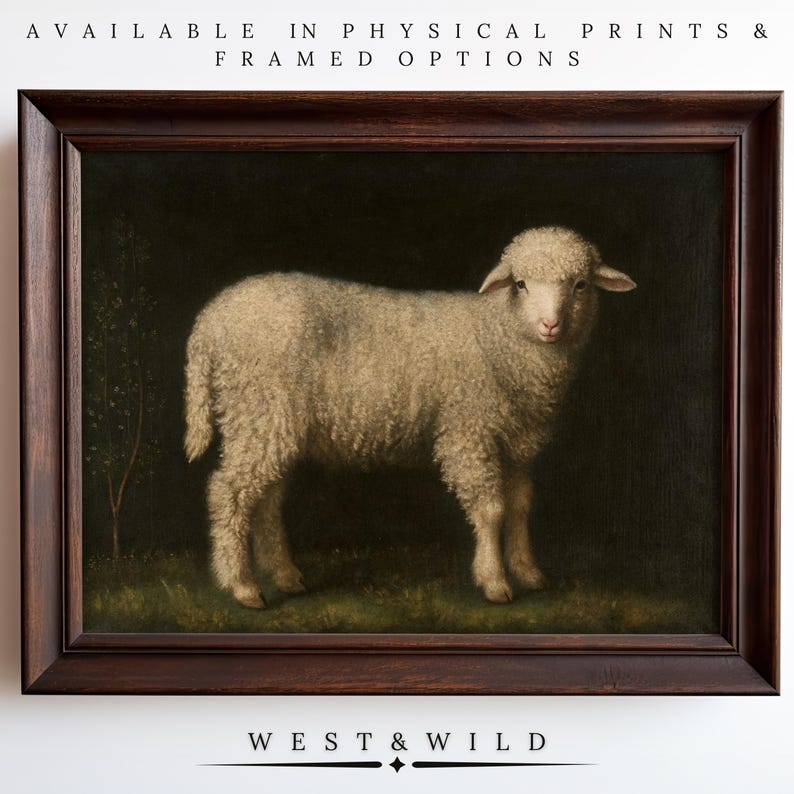 Sheep Wall Art Print of Vintage Farm Animal With Woolly Fleece and ...