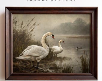 Pair Of White Swans Oil Painting, Swan Art Prints, Waterfowl Artwork, VintageStyle Swan Art, Misty Lake Paintings