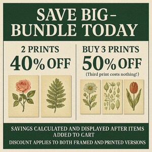 The image is a promotional poster advertising a sale on prints. It features two options for purchasing prints: buying 2 prints at 40% off and buying 3 prints at 50% off. The poster also mentions that the third print costs nothing, and it highlights the savings that can be calculated and displayed after items are added to the cart. The poster encourages customers to apply the discount to both framed and printed versions.