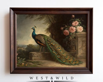 Peacock Bird Print Vintage Wall Art Painting Gentle Framed Fowl Artwork of Gallery Illustration for Boho With Framed Print