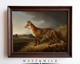 Fox Painting Vintage Wall Art Poster Rich Framed Vixen Decor of Antique Illustration for Rustic Framed or Prints Flowers