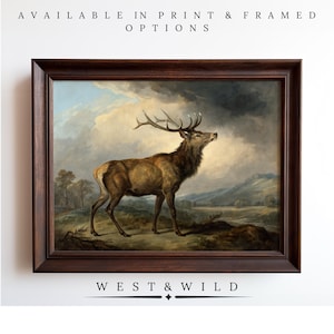 Elk In Forest Painting Wall Art Prints Deer Art Work of Antique Illustration For Rustic Home With Frames Hunter Art
