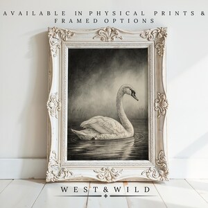 Swan Painting Art Print, Dark And Moody Swan Art Work, Swan Sketch Art, Black And White Vertical Art, With, Of, For, Swan Wall Decor