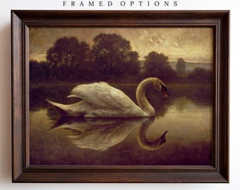 Elegant Swan Art Print, Vintage Nature Wall Decor, Classic Wildlife Painting, Dark And Moody Swan Art, White Swan On Water Art Prints