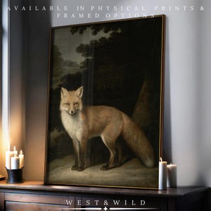 May include: A framed vintage-style print featuring a fox in a forest setting. The fox has reddish-brown fur and stands on a snowy ground. The print is in a dark wooden frame. Text at the top reads "AVAILABLE IN PHYSICAL PRINTS & FRAMED OPTIONS". The bottom text reads "WEST & WILD".