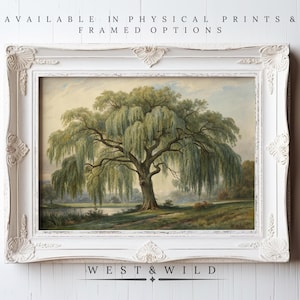 Weeping Willow Tree Paintings, Willow Tree Wall Art Prints, Vintage ...