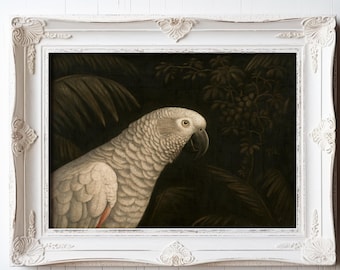 Elegant Parrot Art Print - Detailed Feather Illustration for Bird Lovers with Tropical Foliage - Framed Bird Art - Bird Art With Frames
