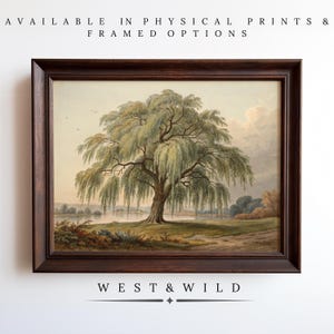 Beautiful Willow Tree Painting, Tree And Landscape Wall Art Prints, Paintings Of Trees, Vintage Tree Prints With Frames