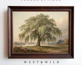 Beautiful Willow Tree Painting, Tree And Landscape Wall Art Prints, Paintings Of Trees, Vintage Tree Prints With Frames