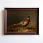 Pheasant Art Prints