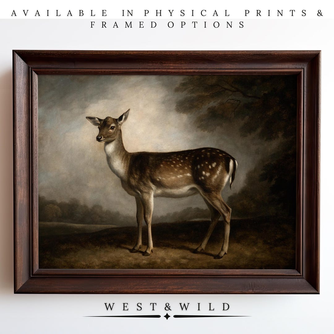 Deer Wall Art Print of Vintage Wildlife Portrait With Spotted Coat ...