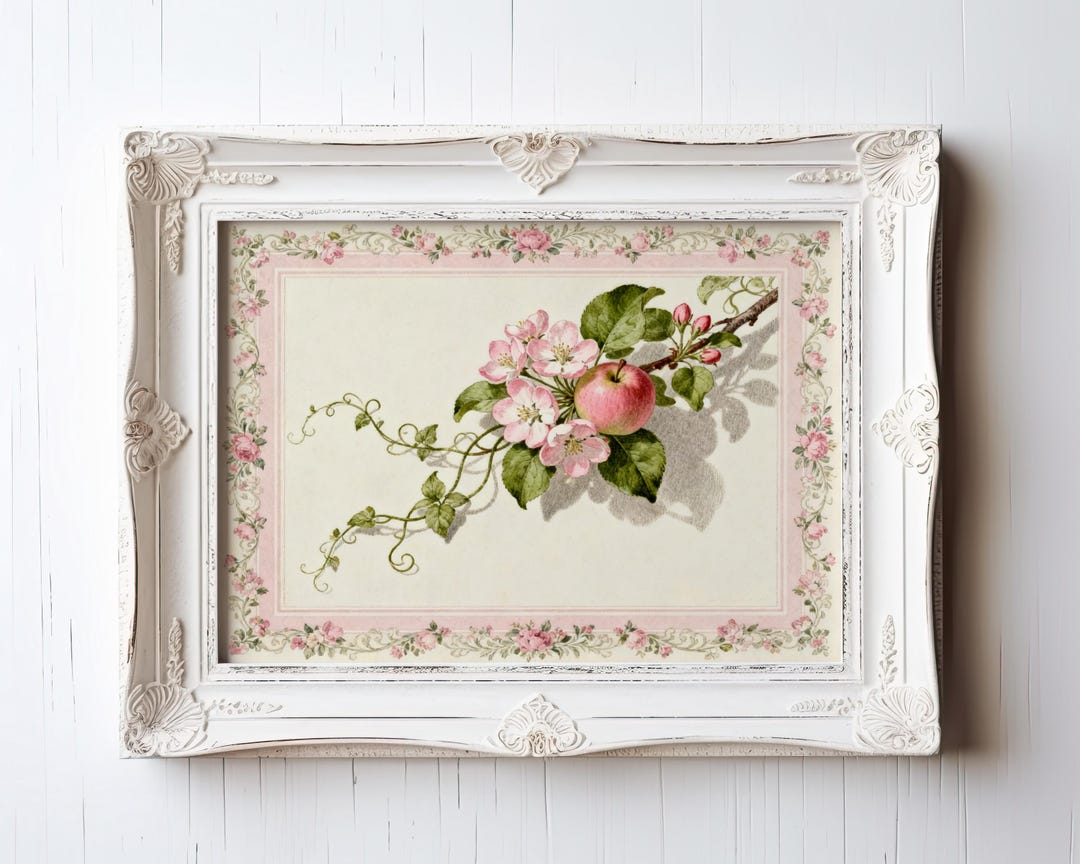 Vintage Apple Blossom and Fruit Botanical Illustration With Pink Floral ...