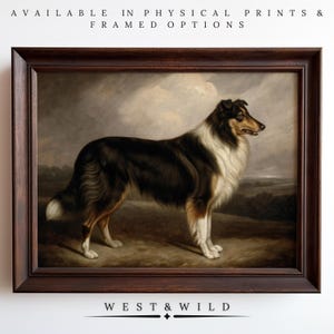 May include: Framed print of a Collie dog in a classic portrait style. The dog has black, white, and tan fur, standing on a grassy area with a cloudy sky background. The frame is dark brown, and the text "WEST & WILD" is at the bottom.