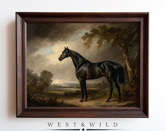 Classic Black Horse Oil Painting Wall Art Print Vintage Equestrian Art Decor For Girls Nursery With Frames Posters Of Horses