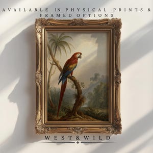 Parrot Art Prints, Paintings With Parrots, Artwork of Parrots, Framed Bird Prints, Vintage Style Bird Prints With Frames
