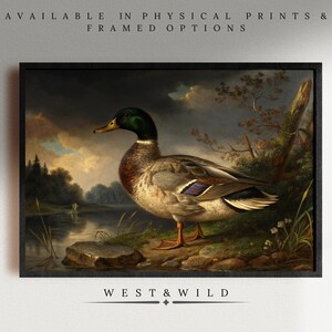 Vintage Mallard Duck Art Prints for Bird Lovers of Duck With Scenic Lake View - Classic Wildlife Wall Art Decor