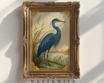Audubon Great Blue Heron American Bird Fine Art Poster, Coastal Bird Painting With Border. Prints For Beachhouse, Vintage, Framed or Prints
