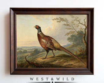 Pheasant Bird Print Vintage Wall Art Painting Dark Framed Fowl Artwork of Gallery Illustration for Lodge Decor Framed Or Prints