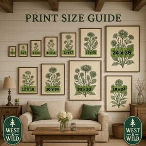 The image is a living room with a couch, coffee table, and various decorative elements such as vases and potted plants. Above the couch, there is a print size guide with different frame sizes and corresponding plant illustrations.