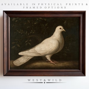 Classic White Dove Art Print - Vintage Bird Painting for Peaceful Decor with Natural Background - Vintage Style Bird Art