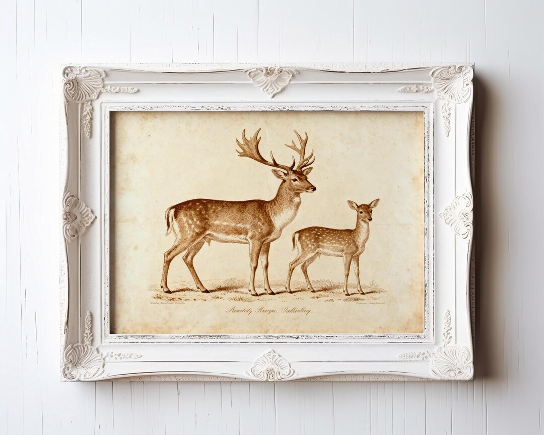 Vintage Deer Family Art Print – Rustic Wildlife Illustration, Lodge or ...