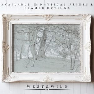 Muted Forest Wall Art Prints, Vintage Forest Artwork of Tree Landscape With Muted Colors, Neutral Light Mint Green
