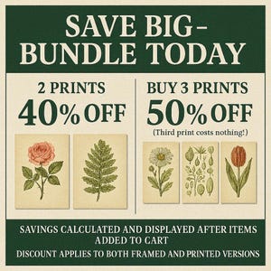 The image is a promotional poster advertising a sale on prints. It features two options for purchasing prints: buying 2 prints at 40% off and buying 3 prints at 50% off. The poster also mentions that the third print costs nothing, and it highlights the savings that can be calculated and displayed after items are added to the cart. The poster encourages customers to apply the discount to both framed and printed versions.