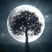 Full Moon Designs