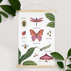 Englischlernposter Insekten, ein Wandbild für Kinder mit Tiermotiven. Biologie Lernposter als Dekoration mit Frühförderung im Kinderzimmer.