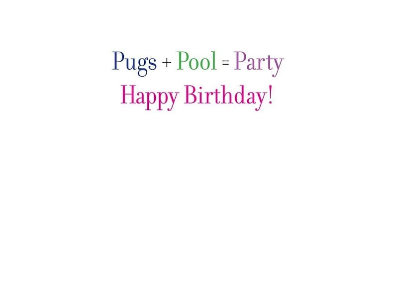 Pug Pool Party Birthday Card image 2