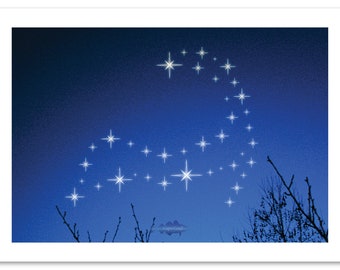 Cape Codstellation