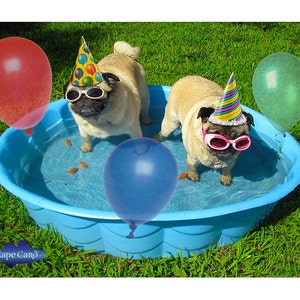 Pug Pool Party Birthday Card image 1