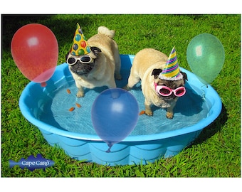 Pug Pool Party Birthday Card