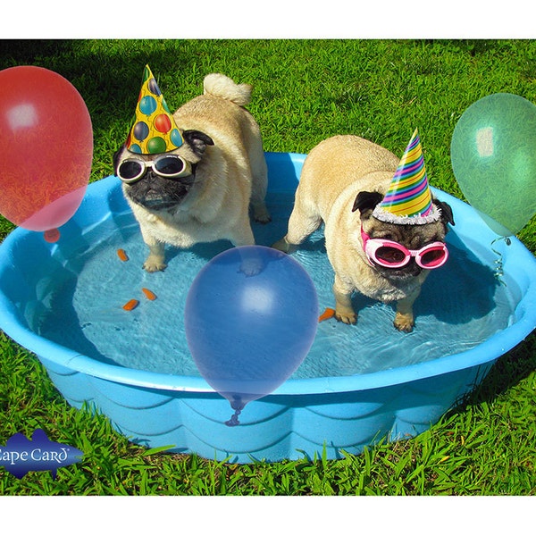 Pug Pool Party Birthday Card
