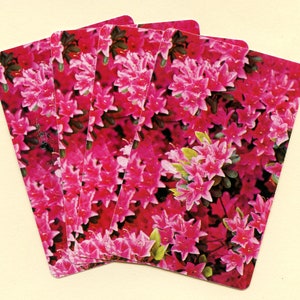 Azalea Playing Cards - Etsy