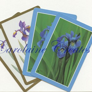 Iris - 2 cartes à jouer
