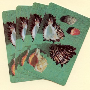 Cartas de jogar conchas do mar