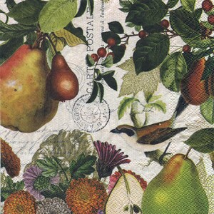 Spring/Floral Napkins; TWO Luncheon Size Napkins; Printed Paper Napkins; Decoupage; Junk Journaling; Collage; Mixed Media Art