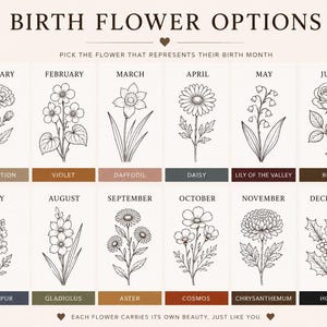 May include: A chart titled BIRTH FLOWER OPTIONS featuring twelve black and white line art illustrations of flowers, each labeled with a month and its corresponding name: Carnation, Violet, Daffodil, Daisy, Lily of the Valley, Rose, Larkspur, Gladiolus, Aster, Cosmos, Chrysanthemum, and Holly.
