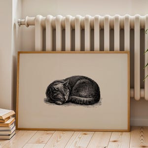 May include: A framed print featuring a detailed black and white illustration of a sleeping cat. The cat is curled up, with its eyes closed, and resting on a light-colored background. The artwork is in a wooden frame, suitable for home decor.