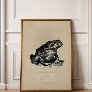 May include: A framed vintage print featuring a detailed black and white illustration of a toad. The artwork is set against a beige background and framed in a wooden frame. The print is displayed against a white wall and a wooden floor.