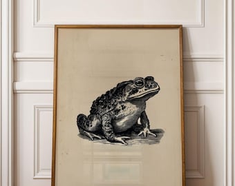 May include: A framed vintage print featuring a detailed black and white illustration of a toad. The artwork is set against a beige background and framed in a wooden frame. The print is displayed against a white wall and a wooden floor.